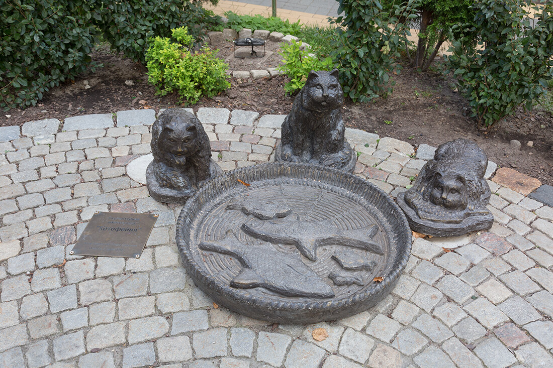 Котики у миски с рыбой