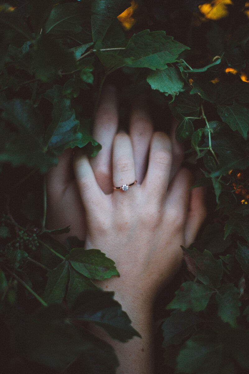 Photo by Jacob Rank on Unsplash