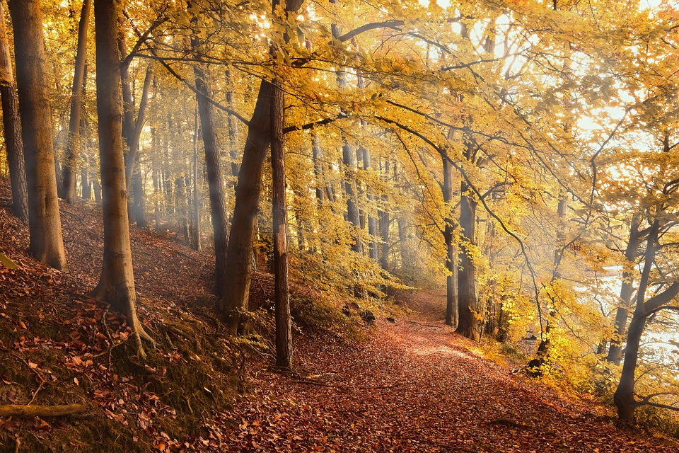 Источник фото: pixabay.com 