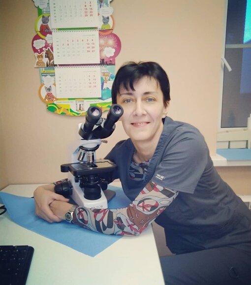 Добавьте описание