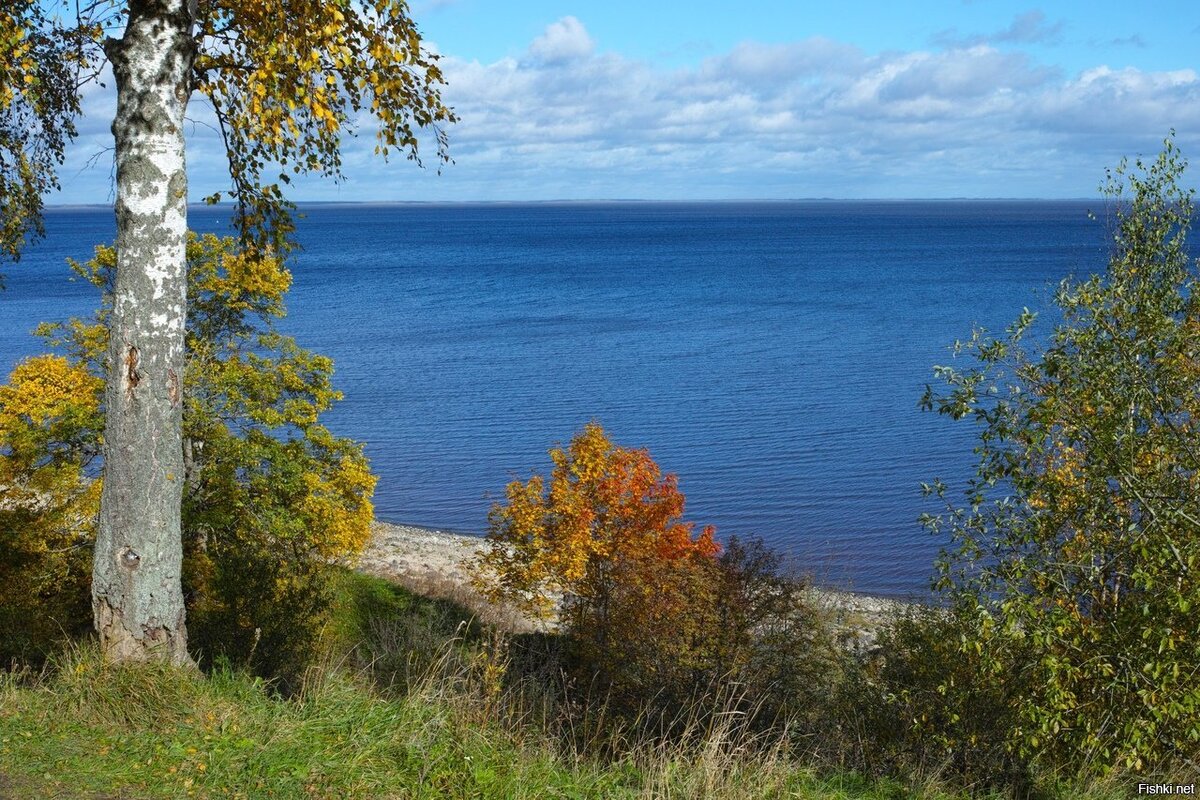 Озеро Ильмень Новгородская