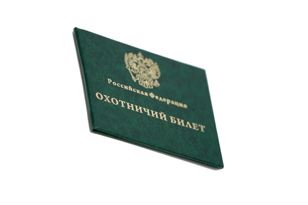 Выдача охотничьего билета единого федерального образца госуслуги