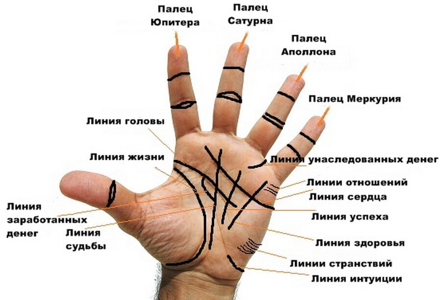 Изображение взято с ресурса Яндекс Картинки