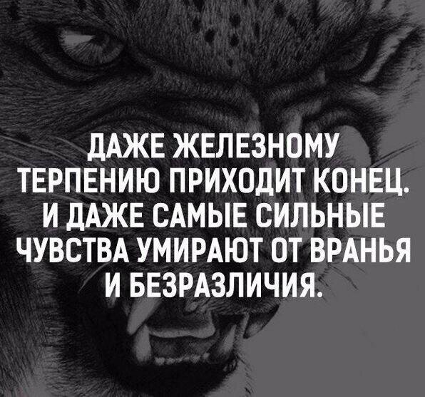 фото с сайта яндекс.картинки