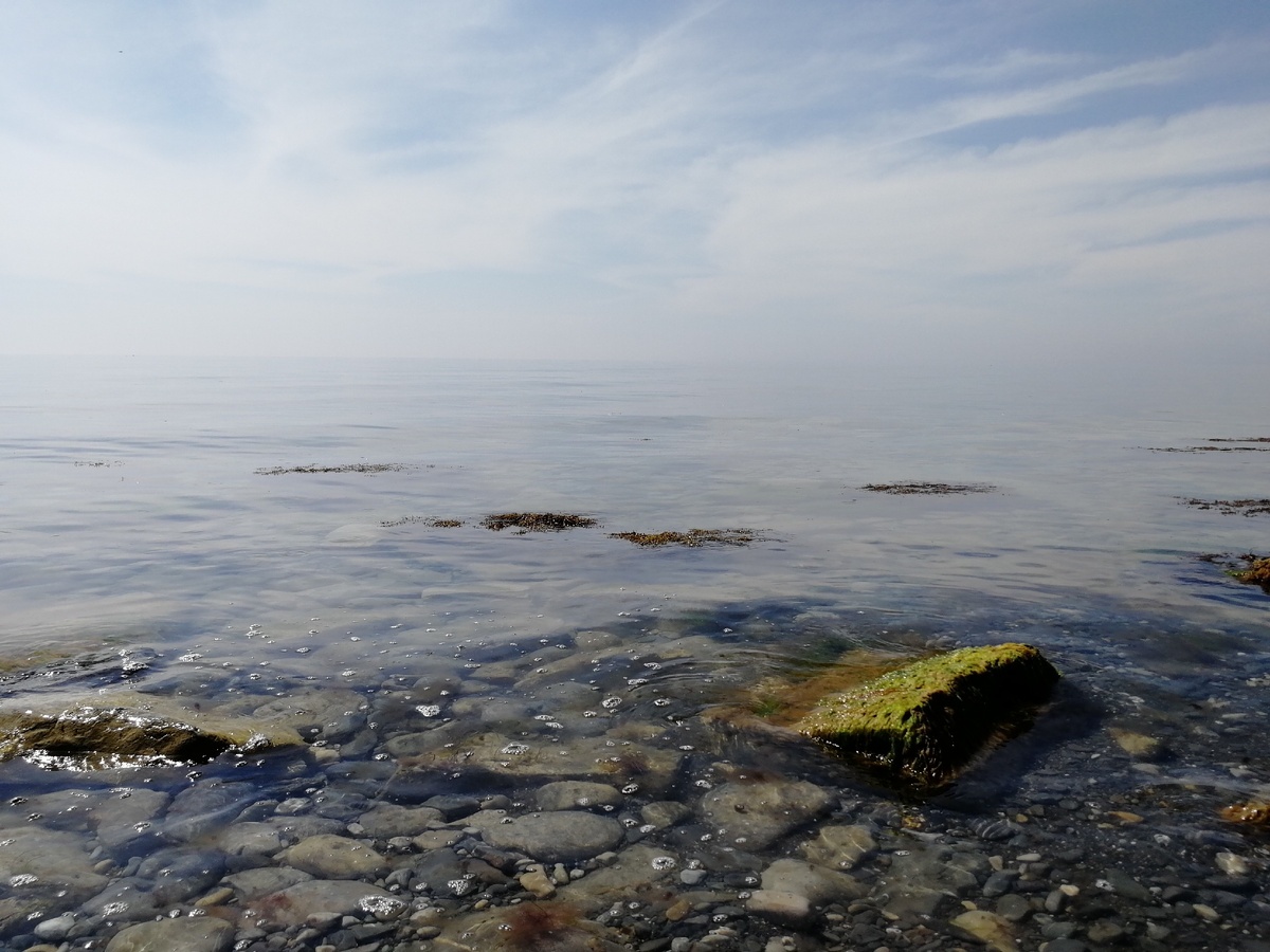 Фото автора. Май 2019. 