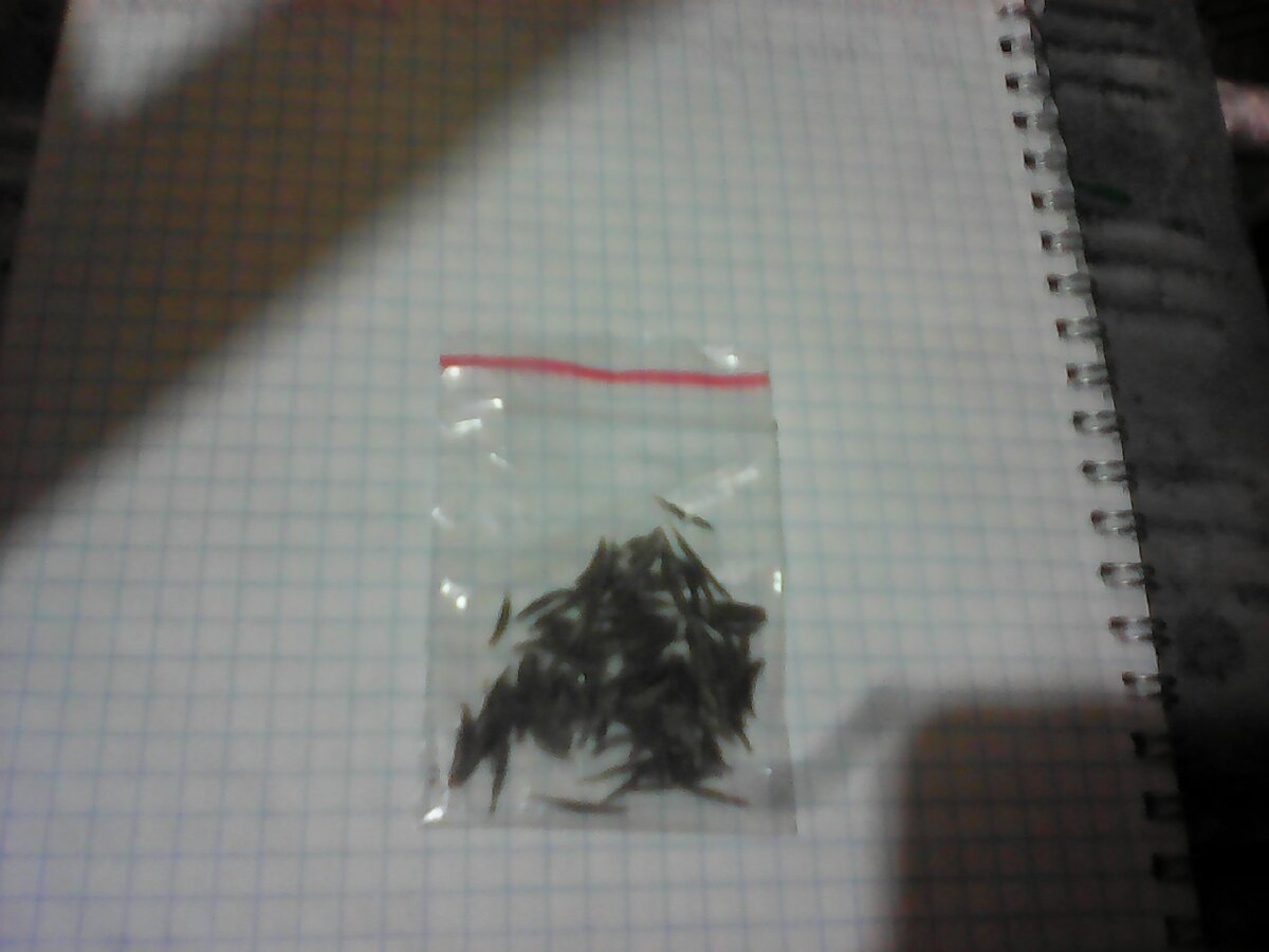 личное фото