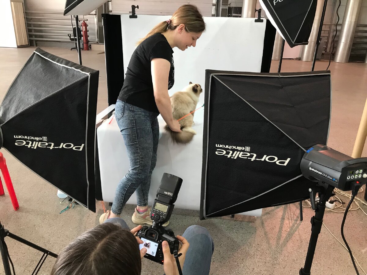 Процесс профессиональной съемки 