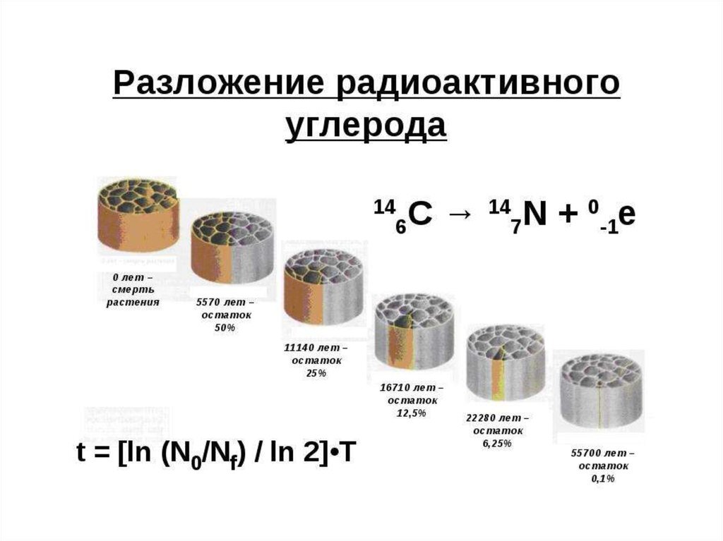 Анализ радиоактивного образца показал что содержание элемента