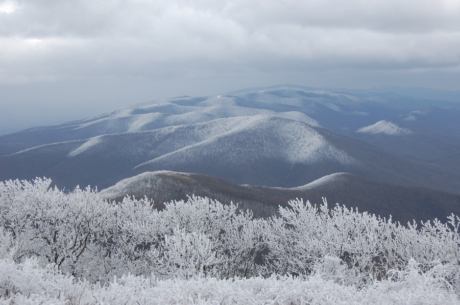 зимняя красота))