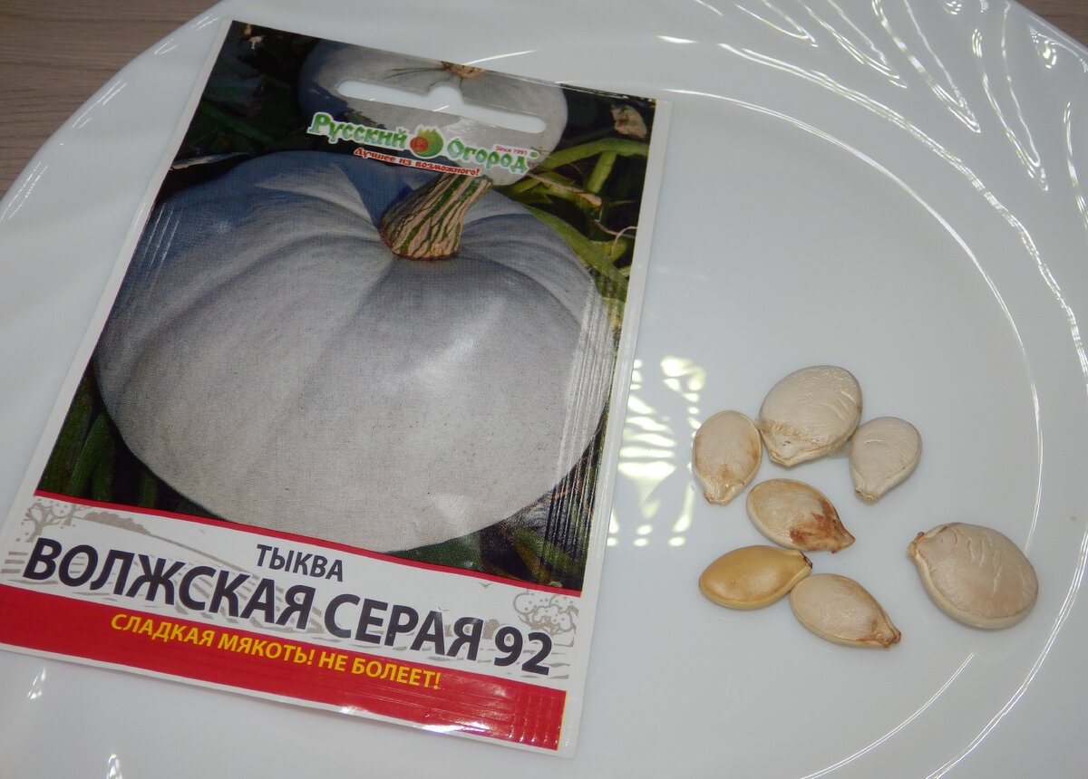 В ФиксПрайс завезли семена по 7-8 рублей. Открываю пакетики и начинаю проверку на всхожесть