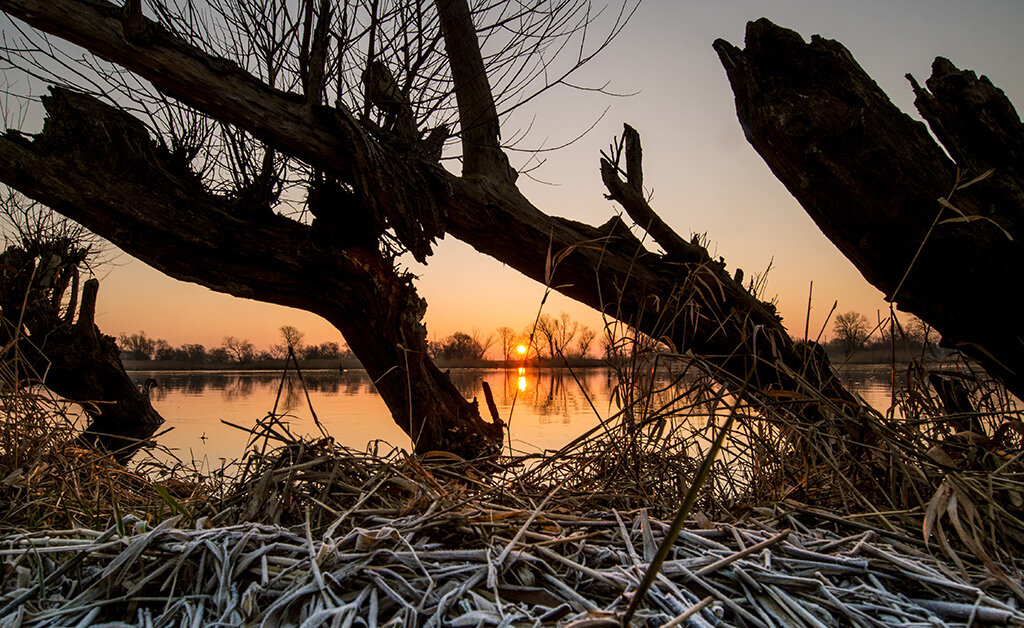 Источник: AP 2020 