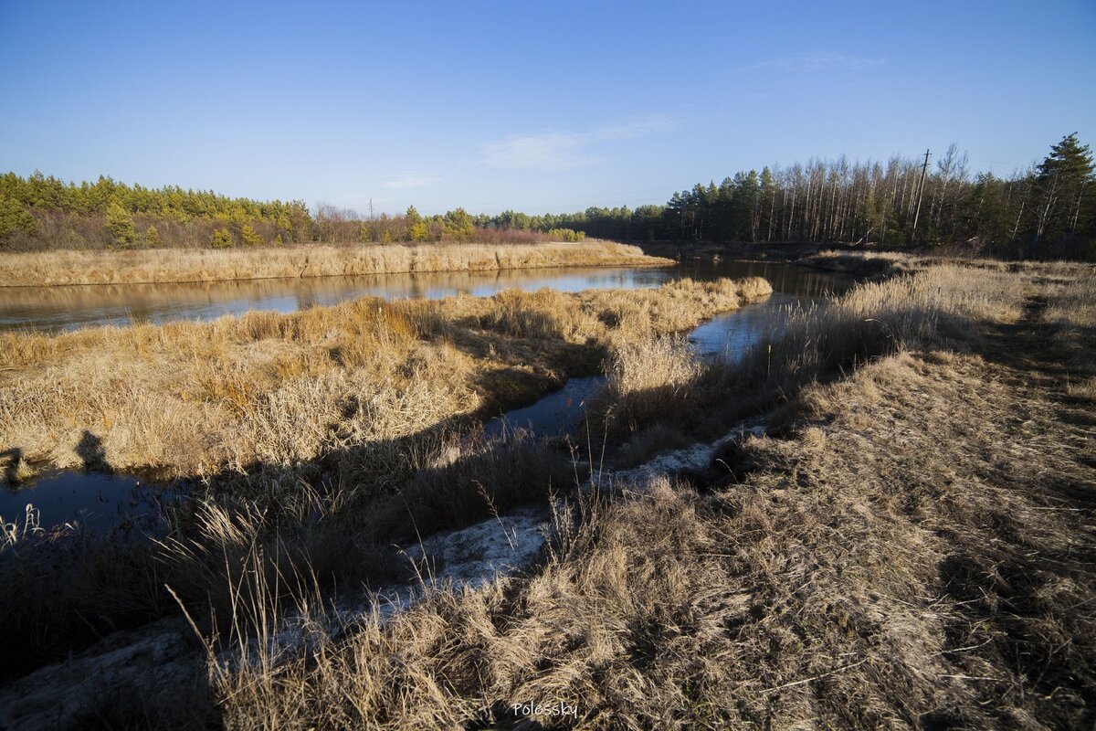 Заброшенное село Черевач в Чернобыльской зоне на берегу реки Уж. Красивые места