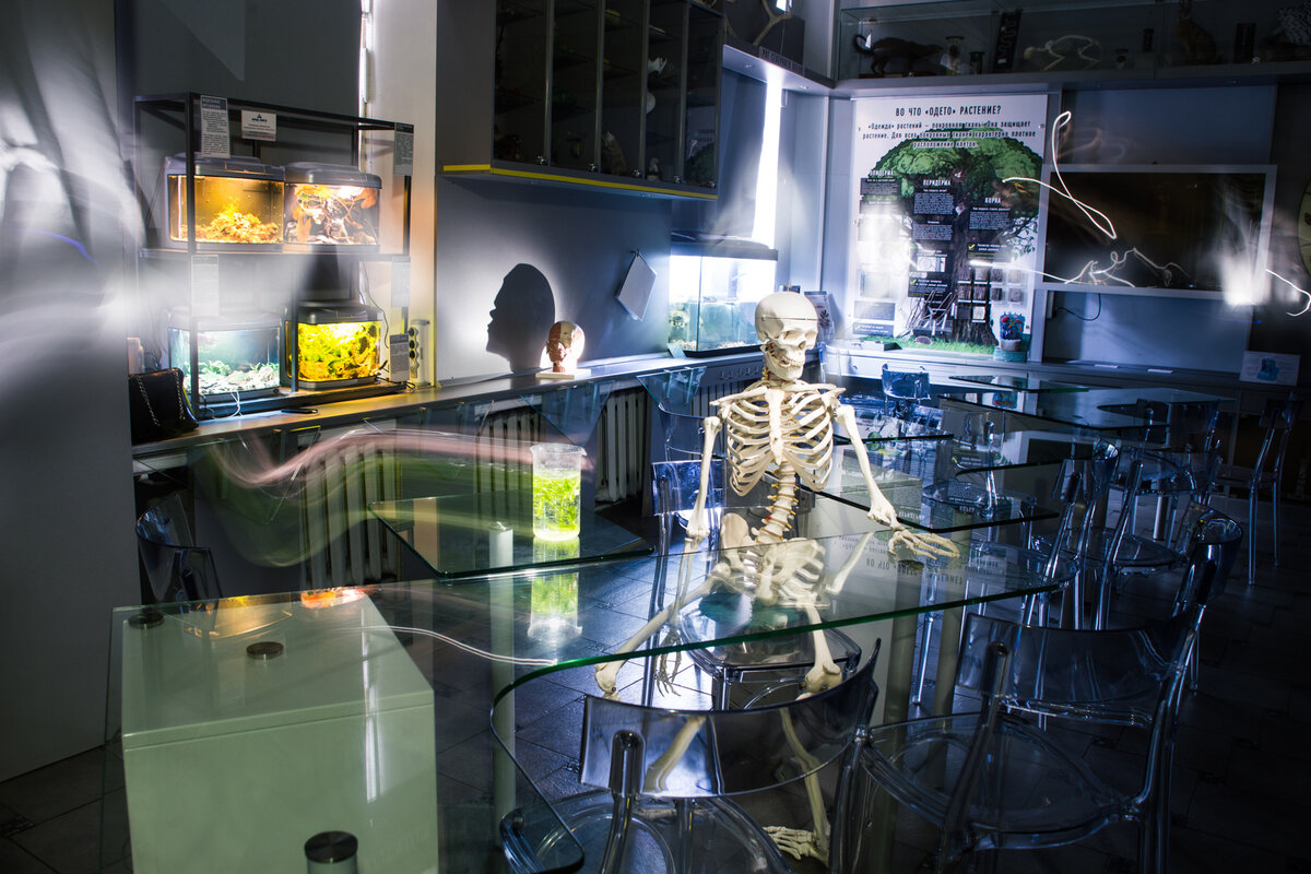 Кабинет в Биологическом музее. Фото: МОСГОРТУР