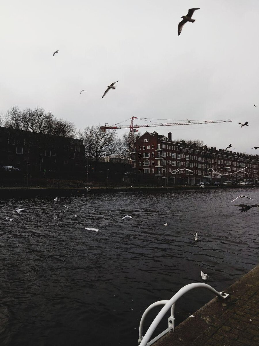 Photo by Olga Zhegalina 
instagram.com/olyazhegalina