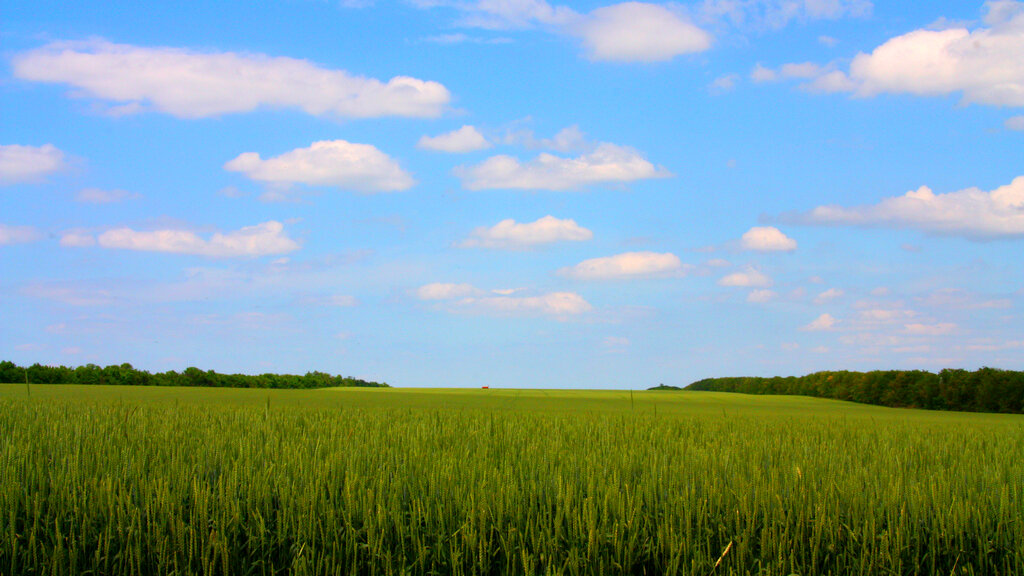 Мышление - всего лишь переработка данных, накопленных в прошлом