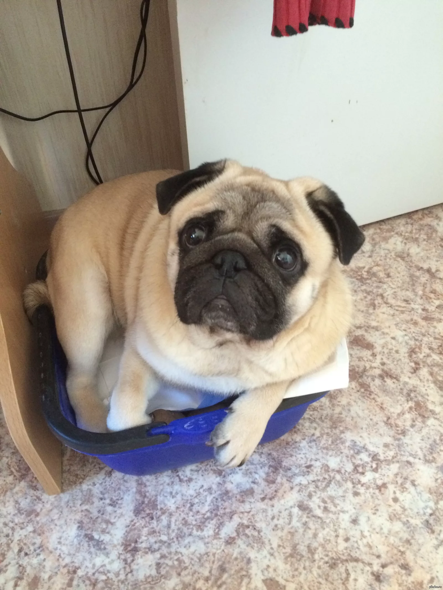 Да, такое тоже случается...