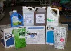 Гербициды выпускаются в виде эмульсий, гранул, минерально-масляных суспензий, порошков, разбавителей. Различаются они сроками использования, правилами приготовления и методом внесения. Внимательно читайте инструкцию к препарату — эффективность и безопасность напрямую зависят от того, насколько точно вы будете следовать рекомендациям производителя.