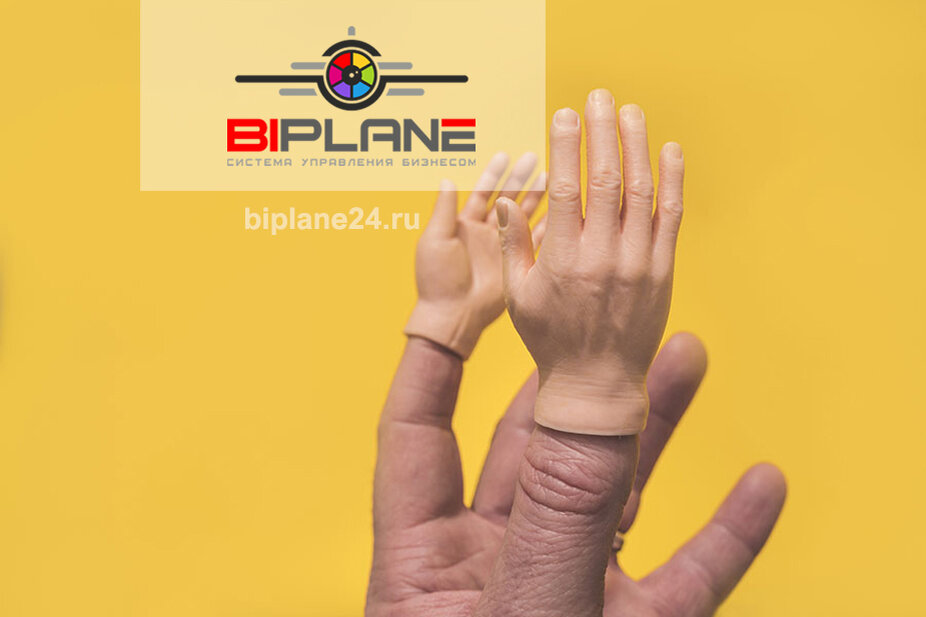 Система управления бизнесом BIPLANE 24