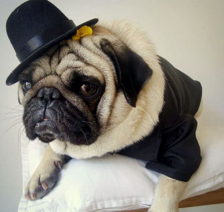 1 Собираюсь идти на светский раунд.
