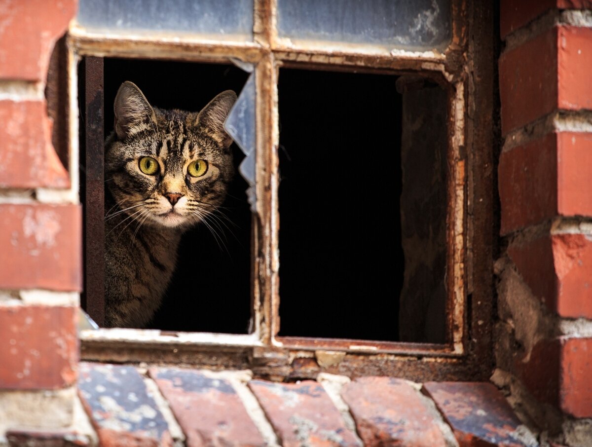 Зачем живем?