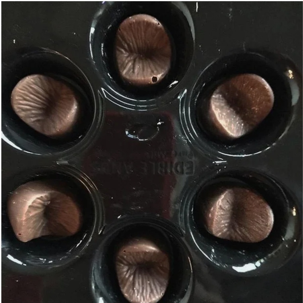 Когда вы откроете коробку, то внутри вас будет ждать это
