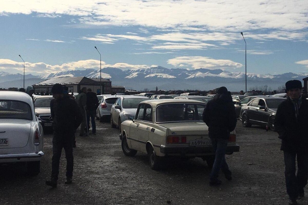 Фотография доступна для просмотра.