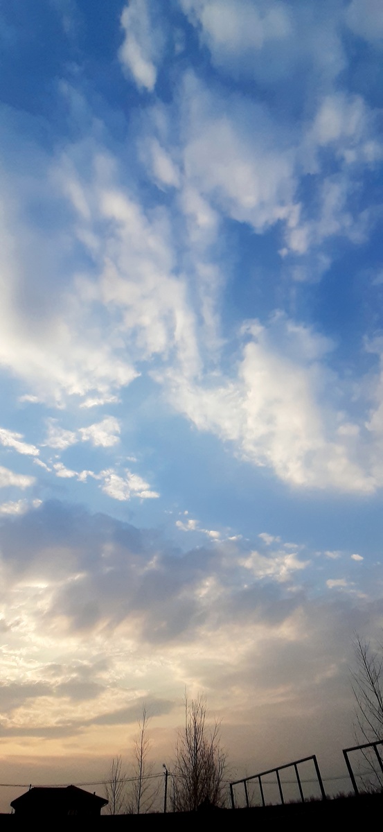 А небо все такое же завораживающее...

В моем понимании, в нашей жизни есть относительно стабильные понятия: солнце греет;небо высокое; луна красивая. А что можно сказать о времени?  Время быстротечно, бежит, ускользает? Еще совсем недавно и  мне было 18 лет, потом 22 года - возраст моих сыновей. Юный возраст радости и надежд, взволнованного ожидания счастья, возраст - когда все впереди.

И у нас - все еще впереди, ведь в наших детях продолжается НАША  с тобой ЛЮБОВЬ, мой сердечный друг.