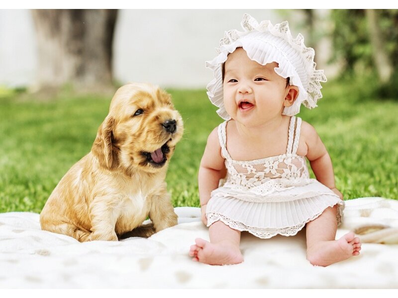 Источник Яндекс картинки