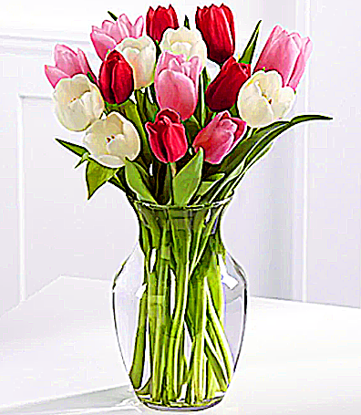 фото из открытого источника