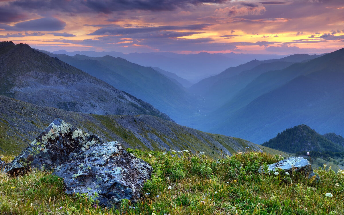 источник - Яндекс картинки 