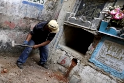 1 профессия