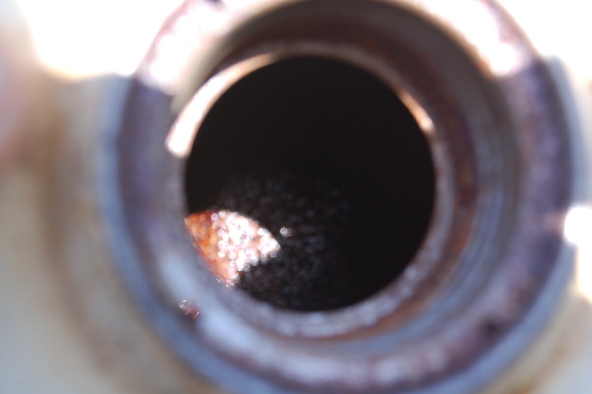 Зацвел новый китайский бак 