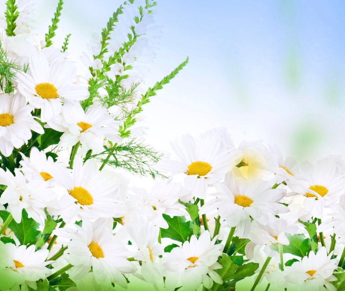 Картинка из интернет