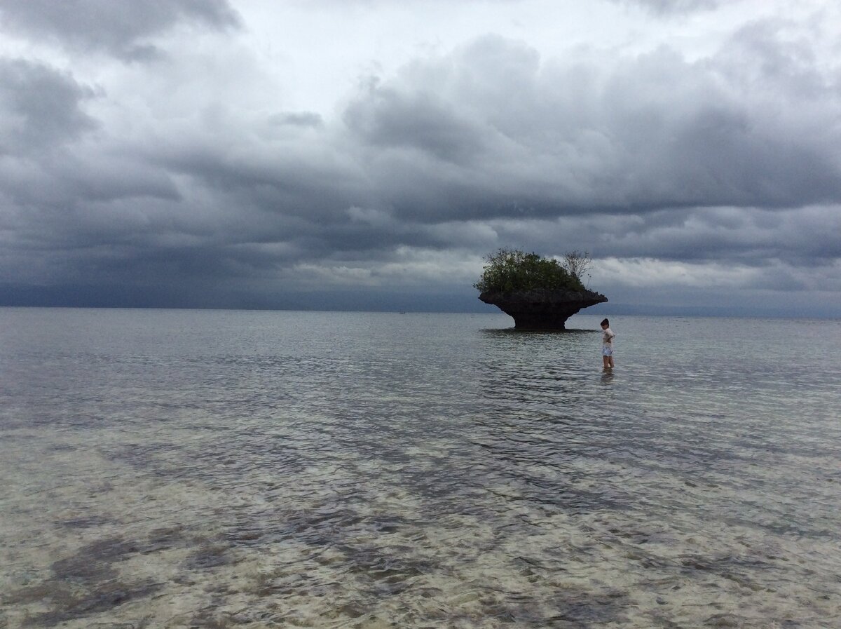 Грибник :) без лукошка.  Личный Insagram dory_panic