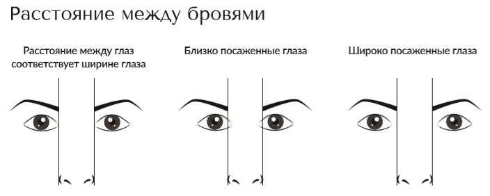 Сколько между бровями. Нормальная посадка глаз. Глаза по расположению. Широкая посадка глаз. Посадка глаз брови.