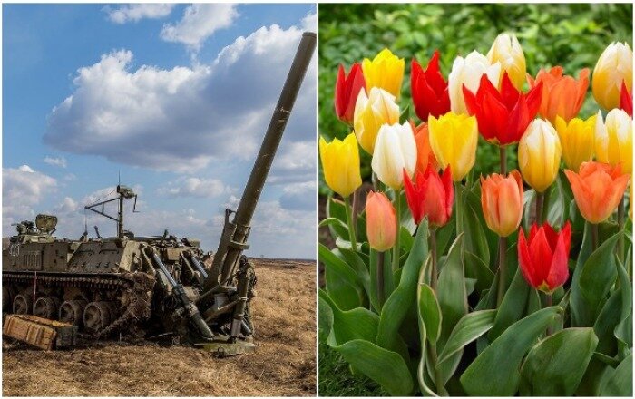 Тот случай, когда у гаубицы и цветов одно название 
