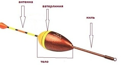 Строение поплавка