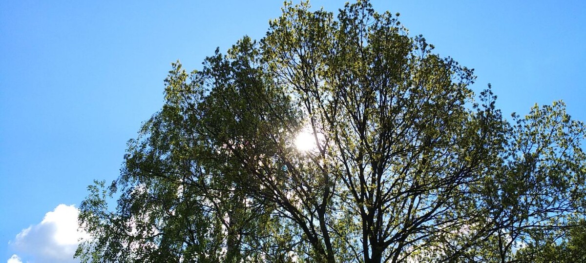 Небо и солнце...что ещё нужно... 