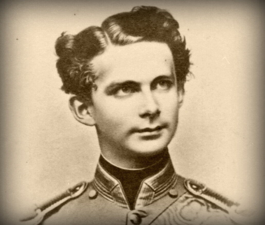 Одинокий лебедь