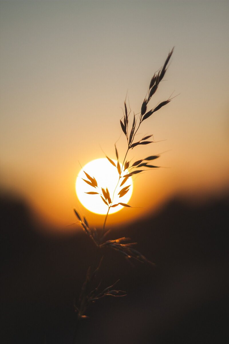 Фото с сайта: https://www.pinterest.ru/pin/438326976230467683/