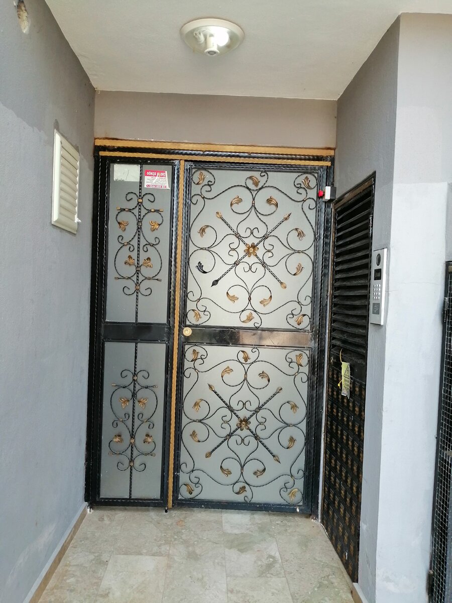 Общение с риелтором напоминало мне железную дверь, закрытую и беспристрастную. 