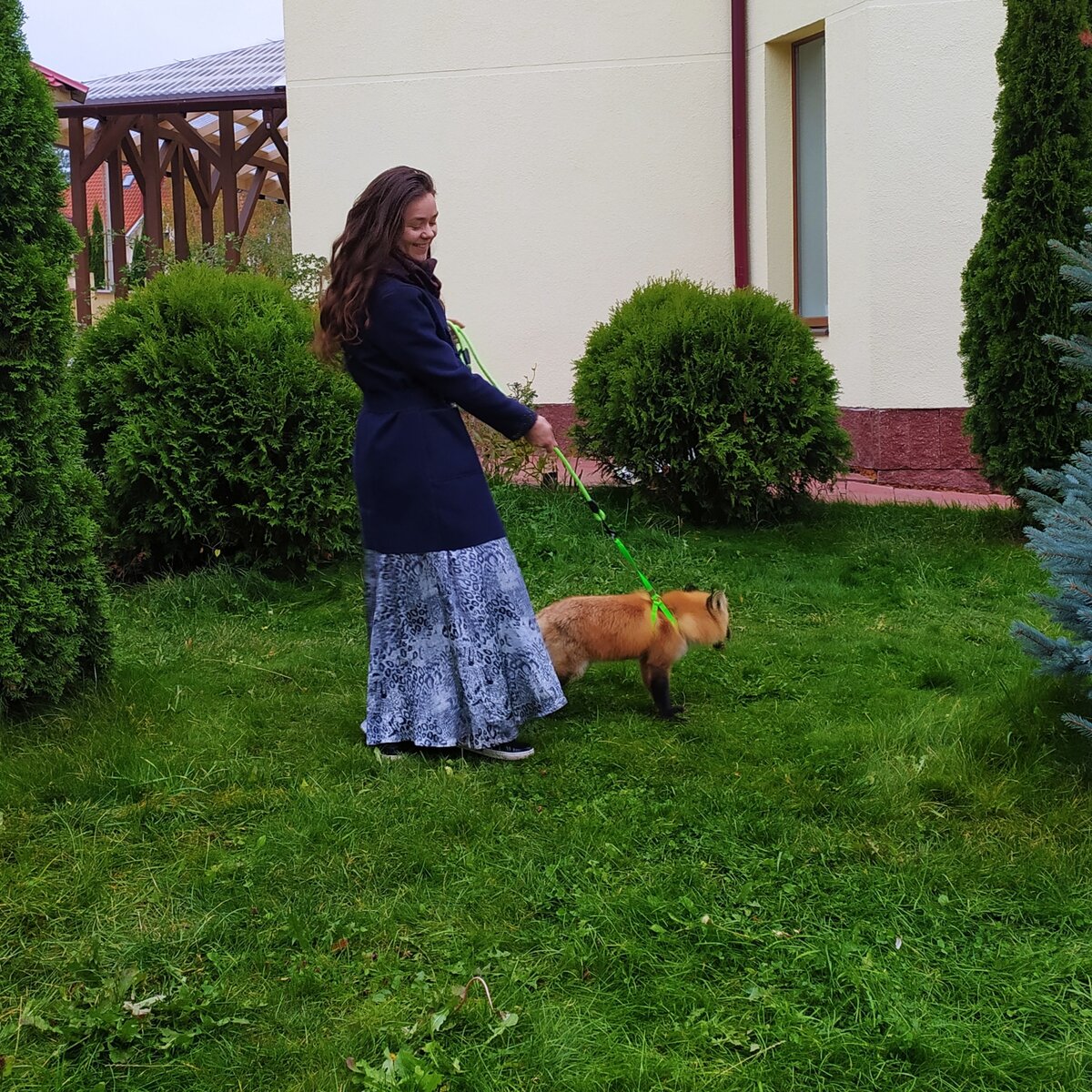 Наш Форрест (в честь героя Тома Харди)