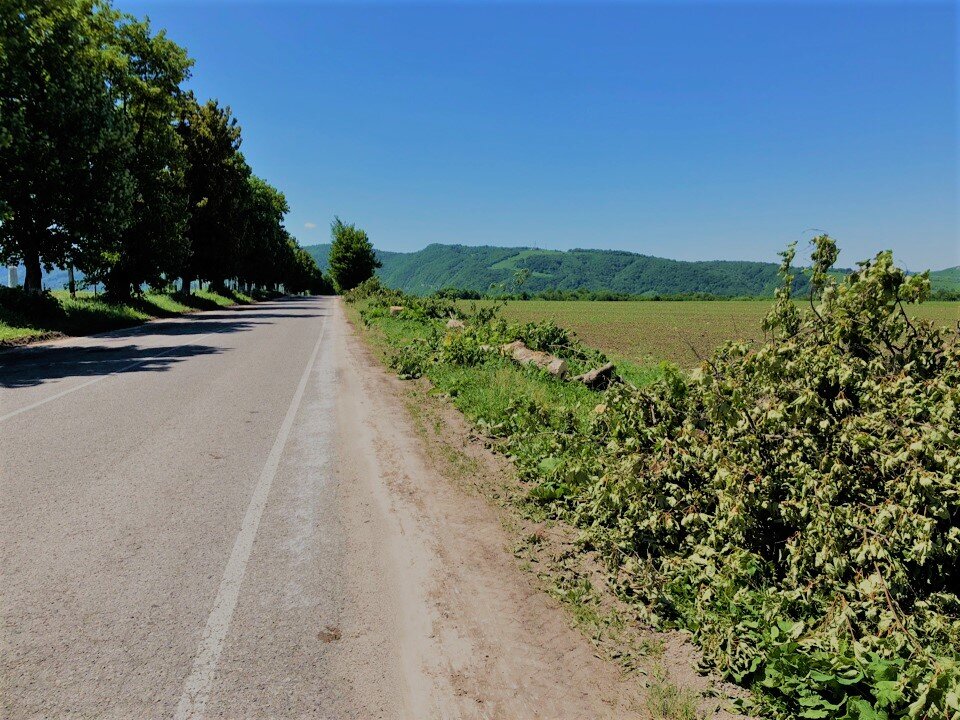 Фото: upravdorkbr.ru