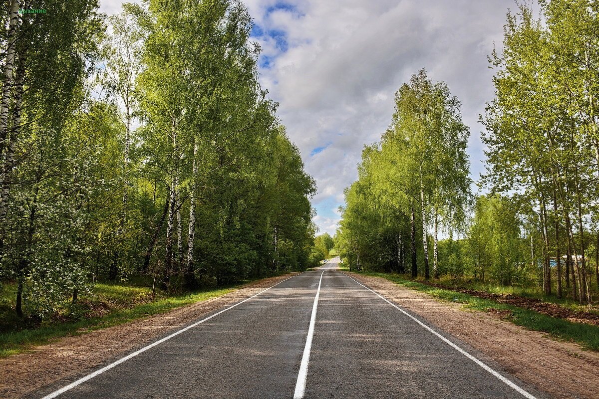 Дорога весной. Дорога. Прямая дорога. Дорога летом. Май дорога.