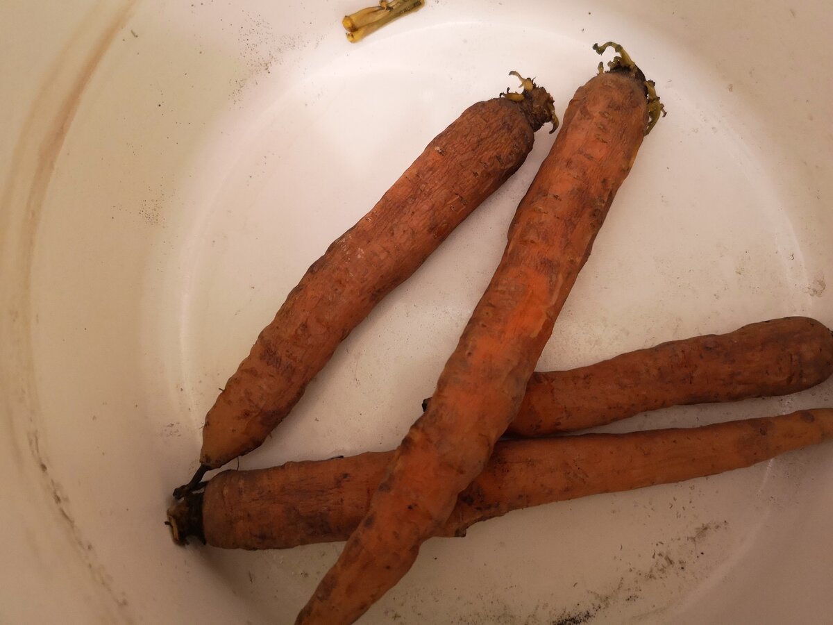 Варёная морковь.