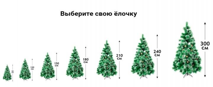 Фото взято из сети Интернет