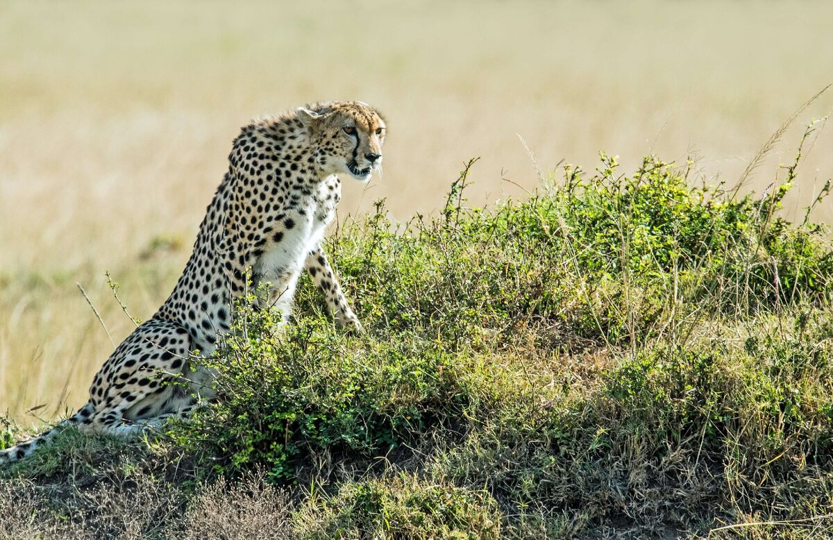 Фото: @davidclode