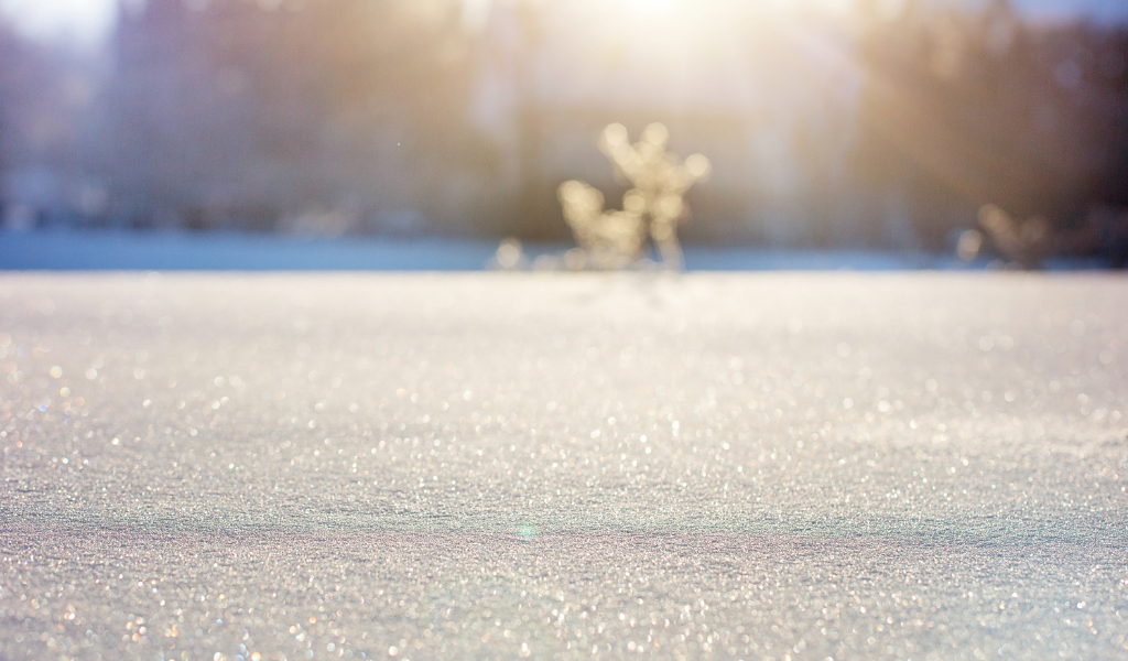 Фото из свободного источника