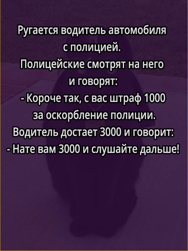 шеф гуляем на все