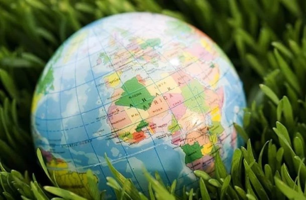 взята из галереи яндекс